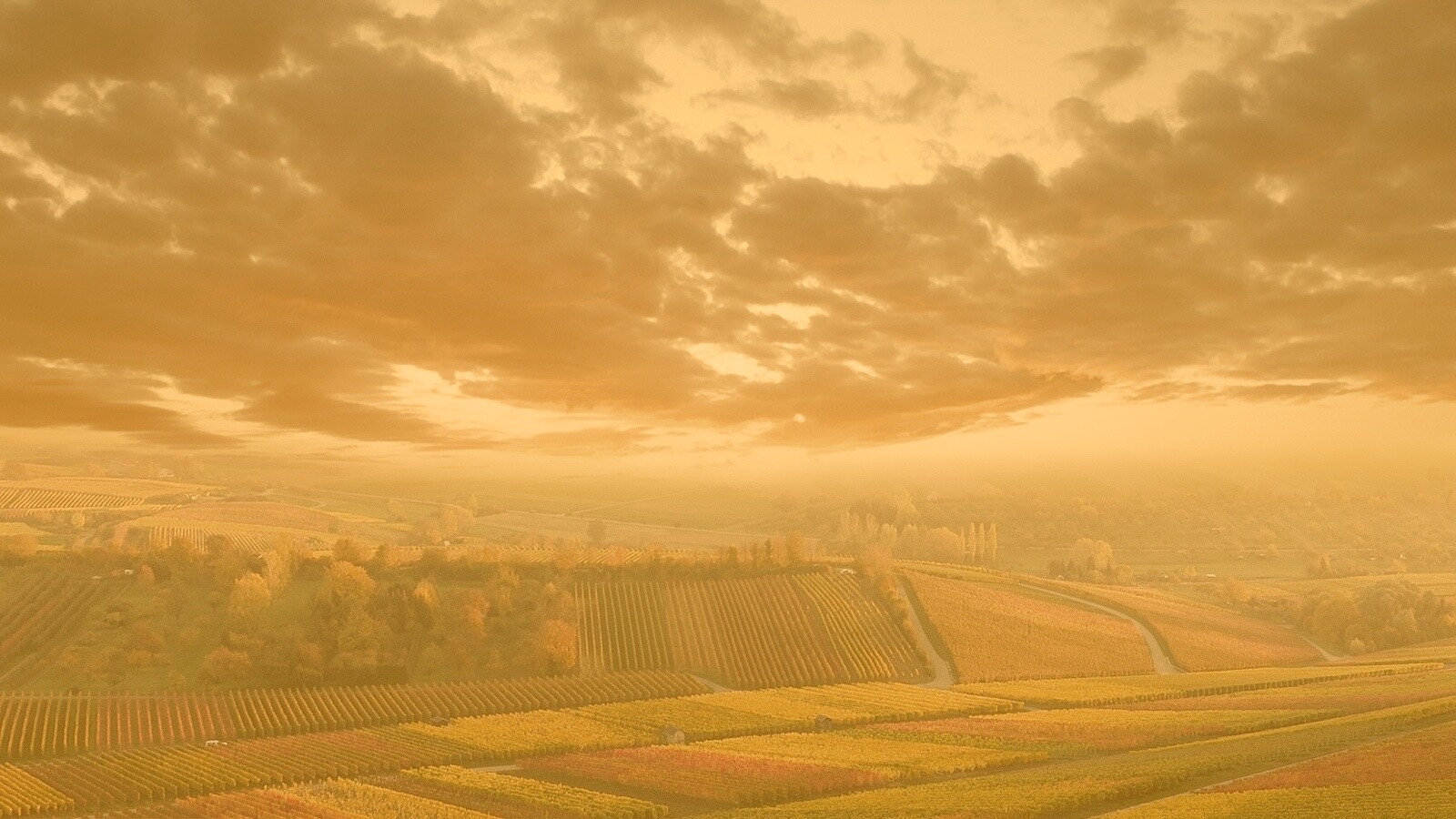 Обработанные земли в пригороде обои