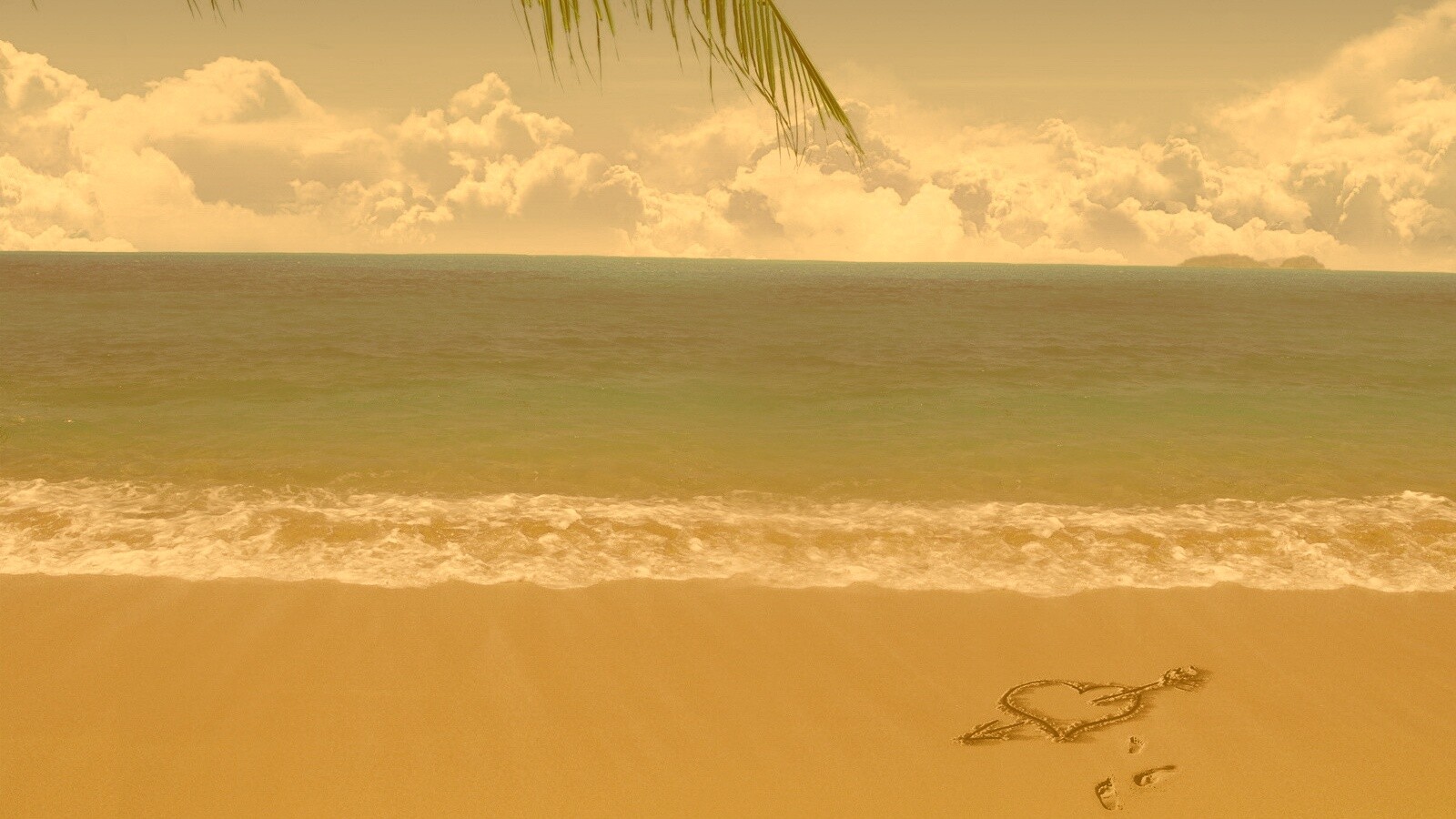 Любовь на океанском берегу обои