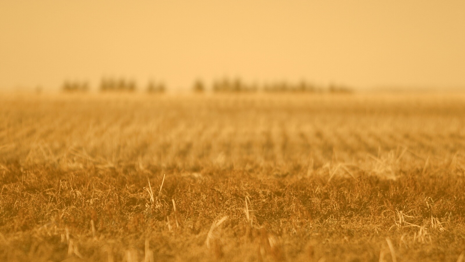 Поле перед вспашкой обои