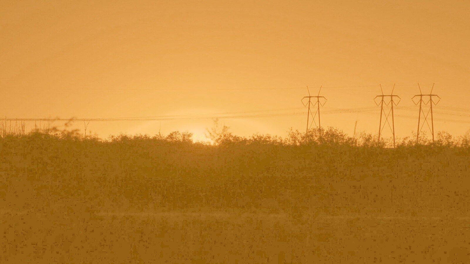 Закат за лесом обои