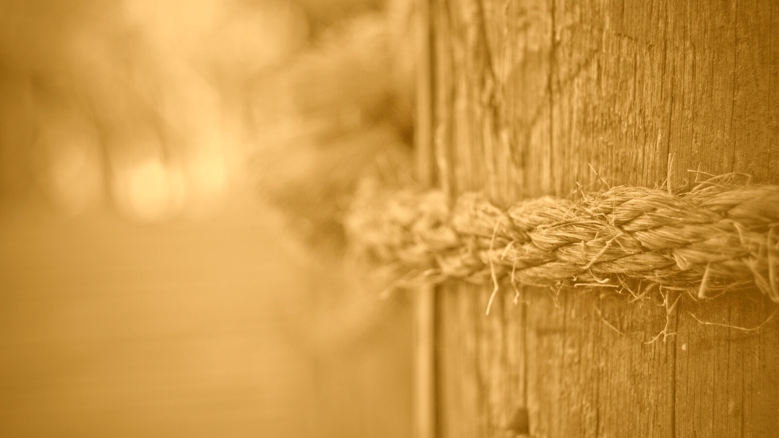 Веревка на деревянном столбе обои