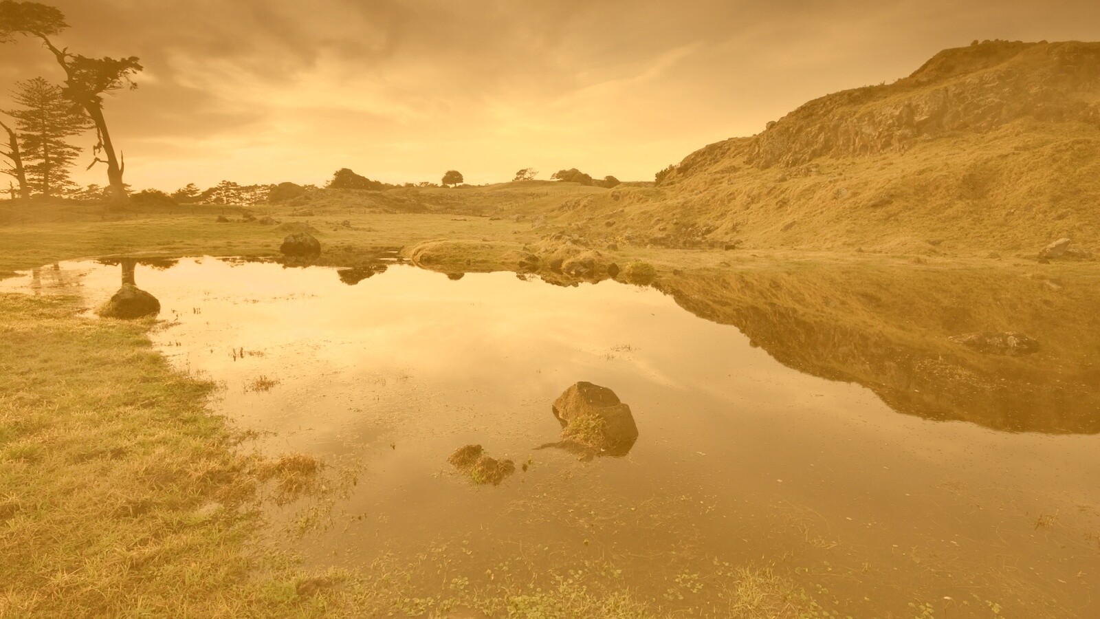Затопленная долина в Новой Зеландии обои