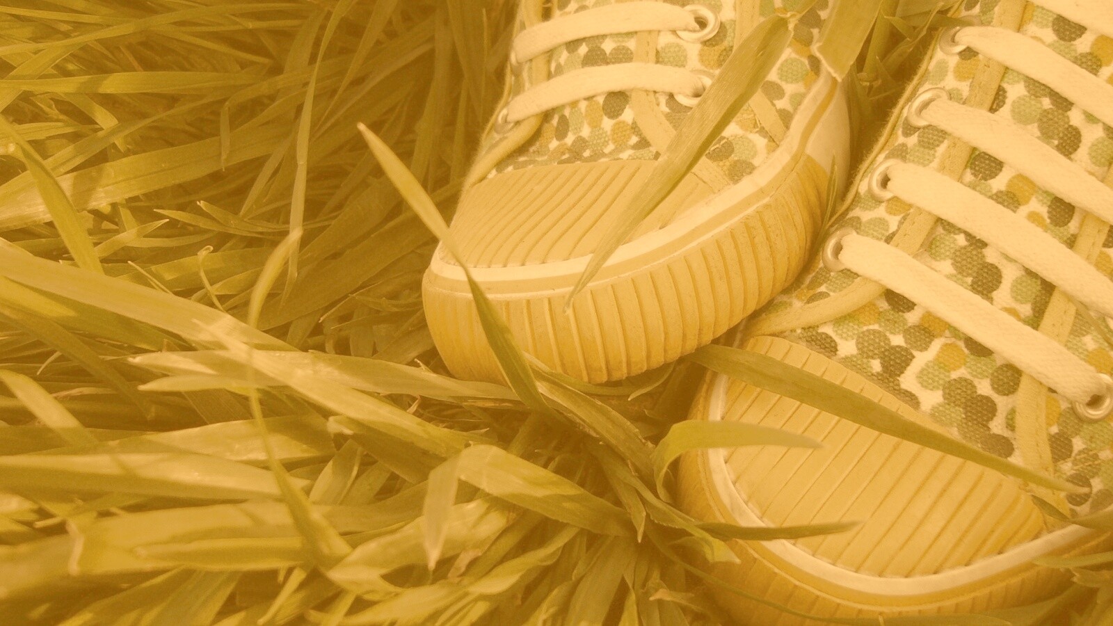 Желтые кеды в горошек обои