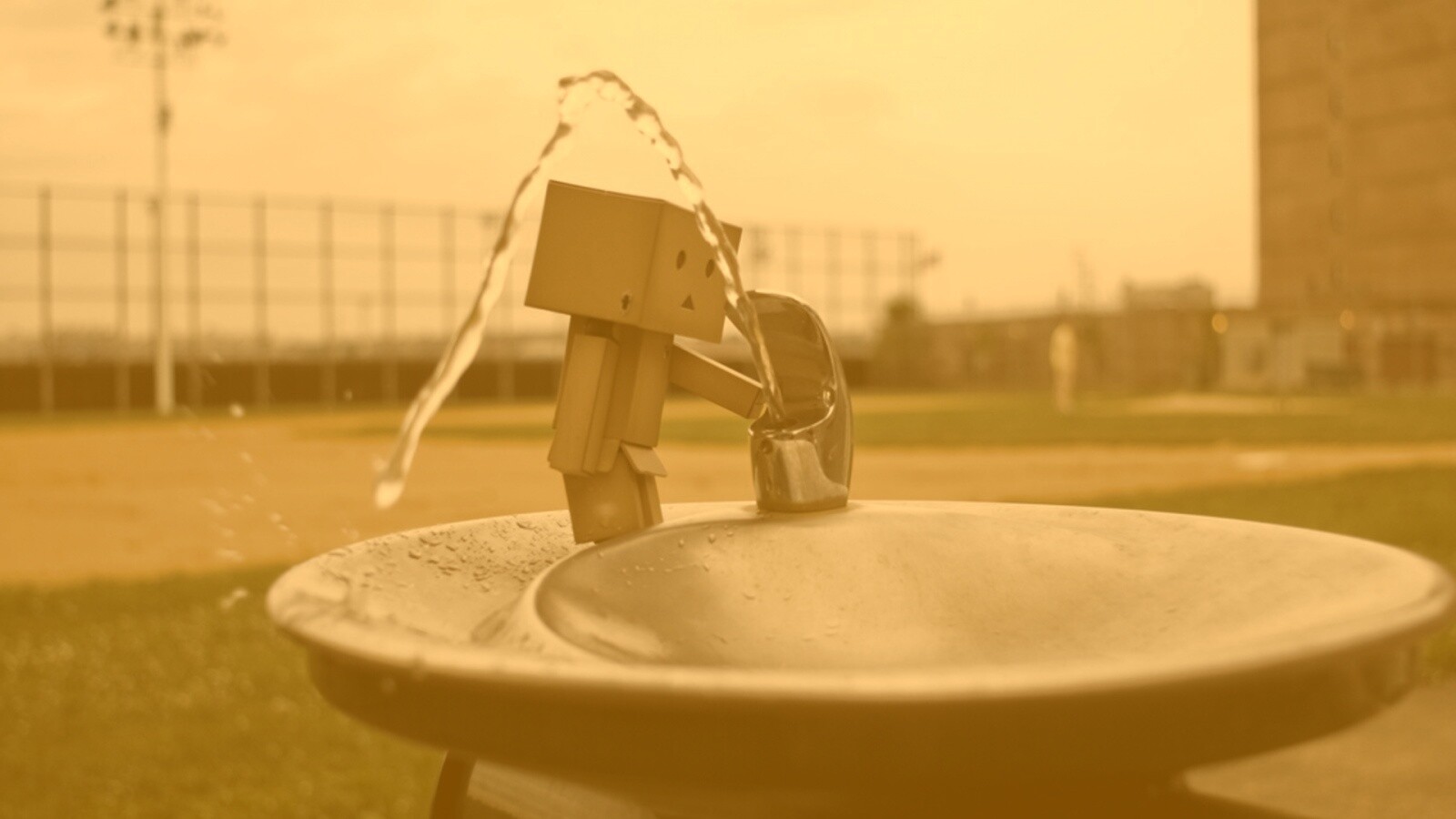 Дандо пьет в воду из фонтанчика обои