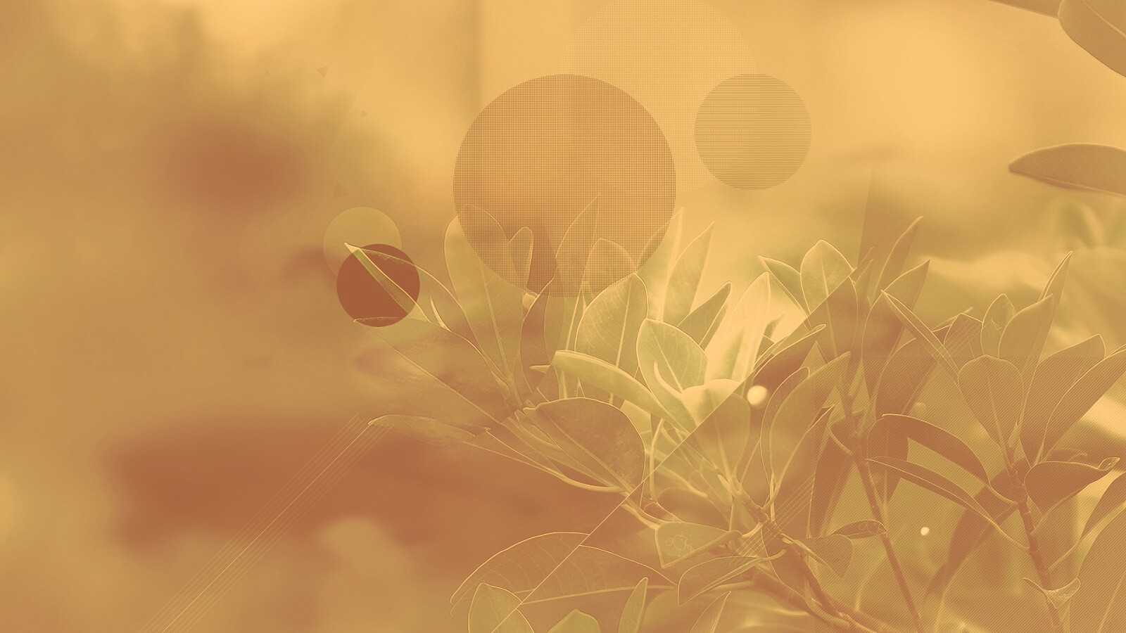 Синий фильтр с кргуами на фото листьев обои