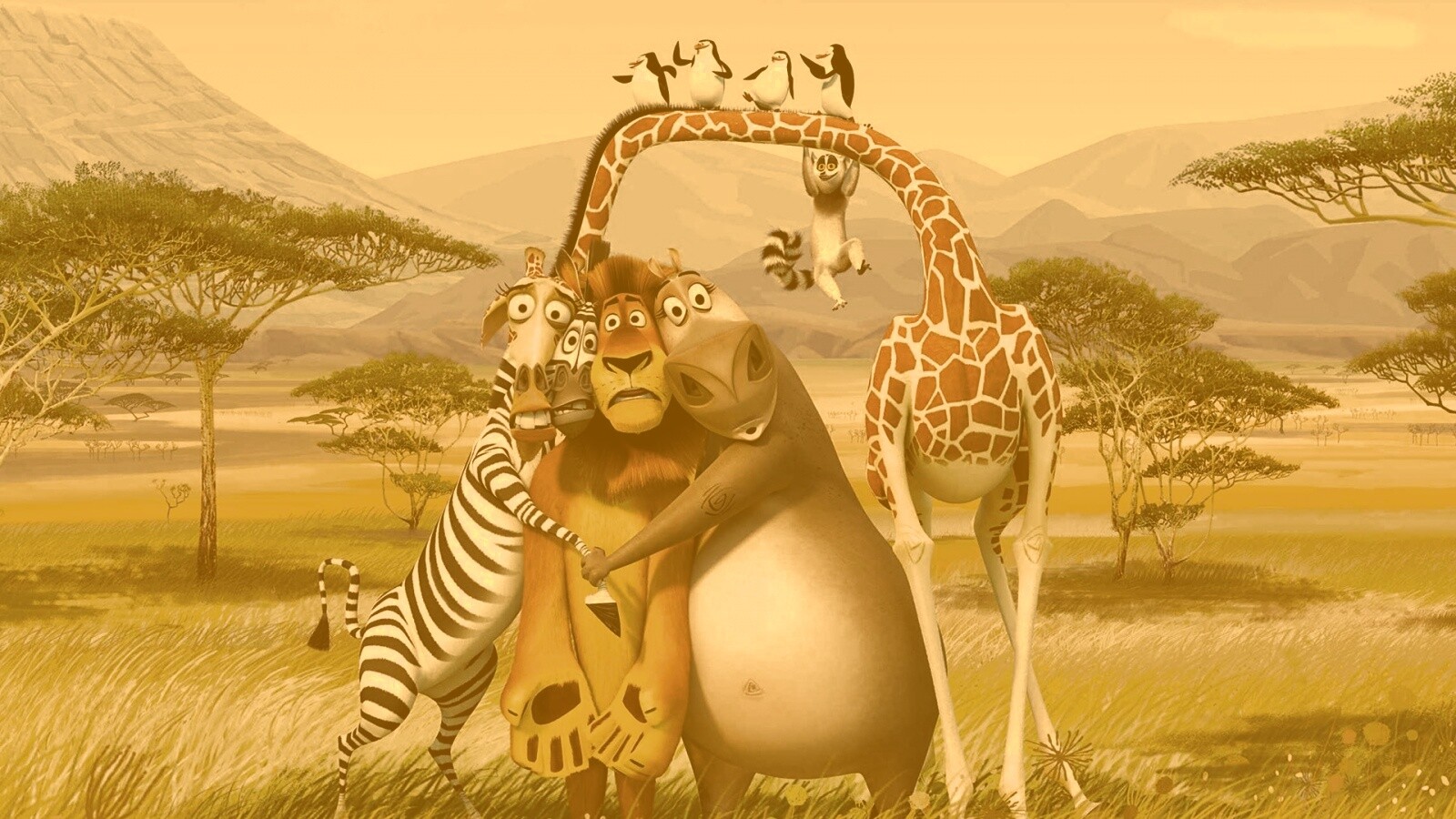 Герои мультфильма Мадагаскар обои