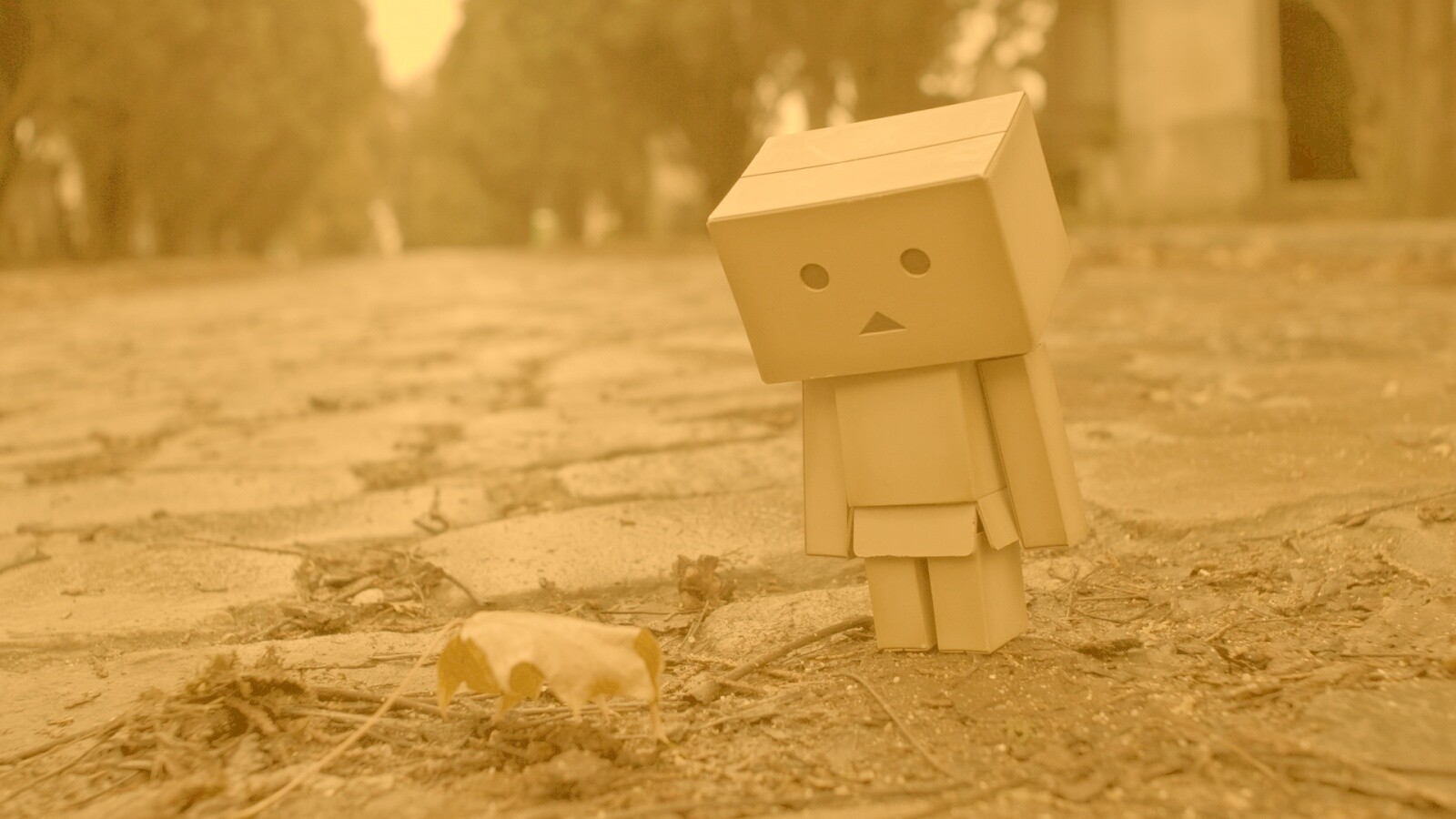 Danbo и первый осенний лист обои