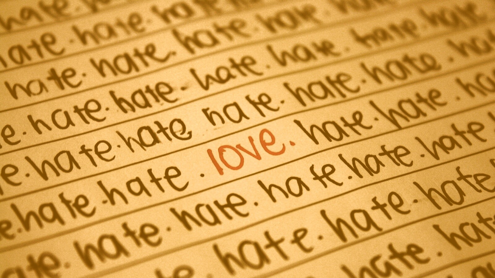 Любовь среди ненависти обои