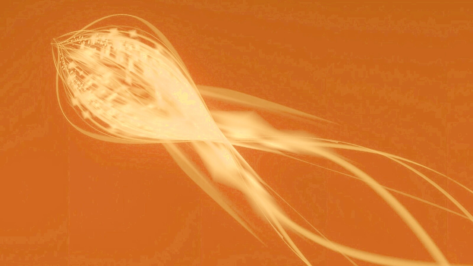 Сгусток красных линий обои