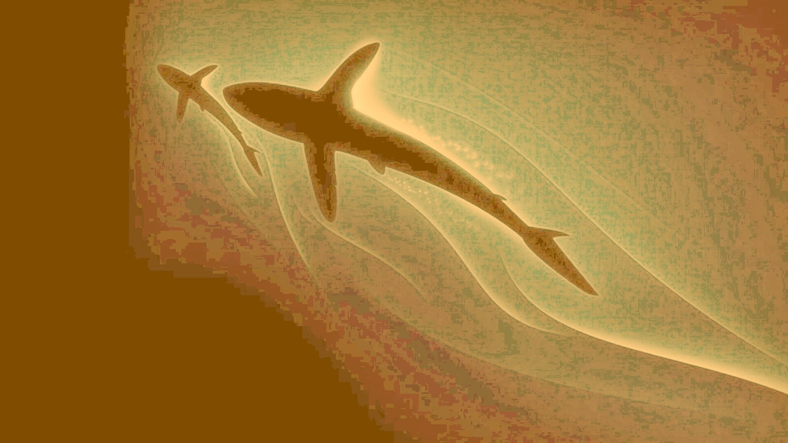 Рыбы в глубине обои