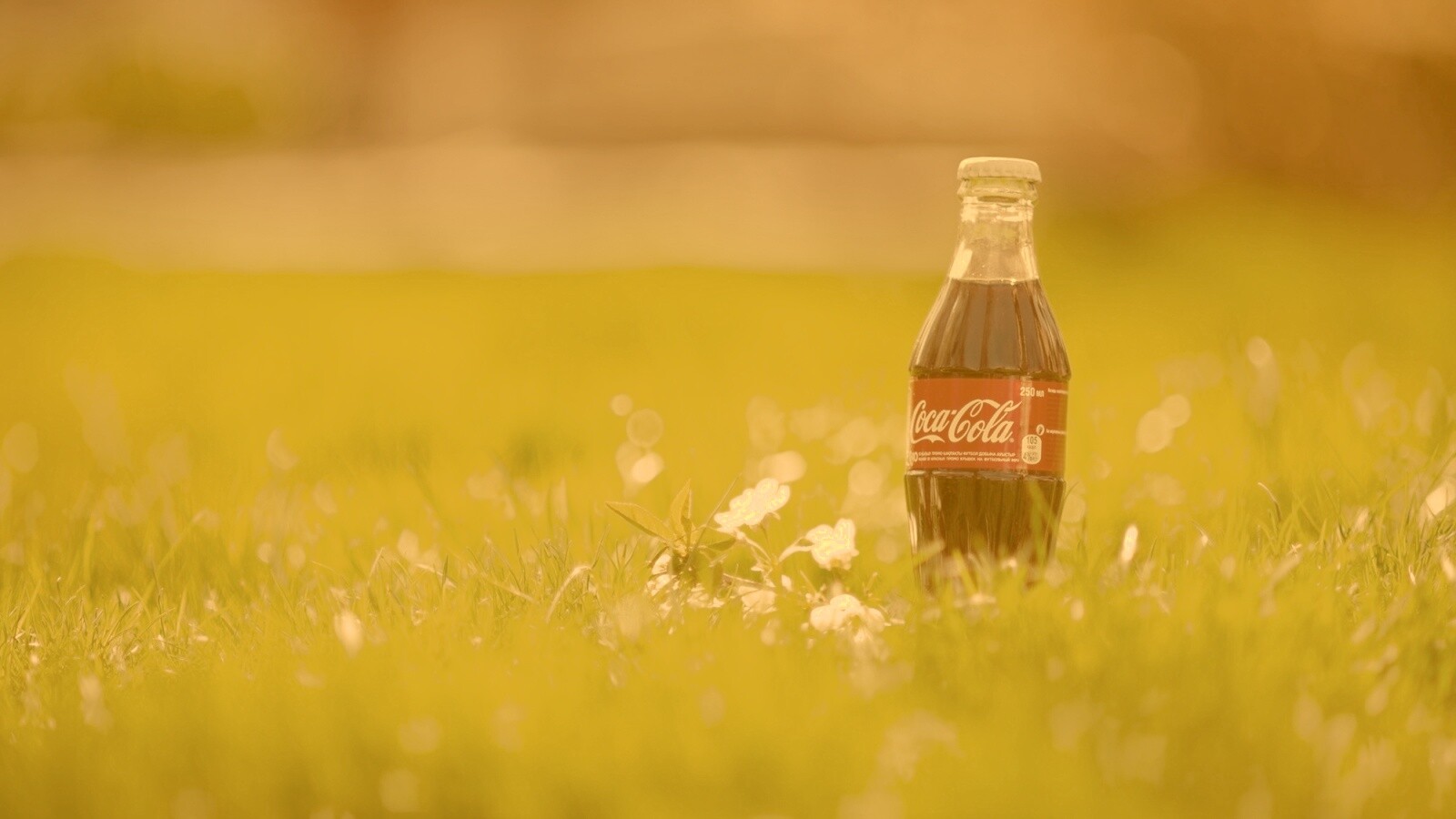 Кока-Кола на траве обои