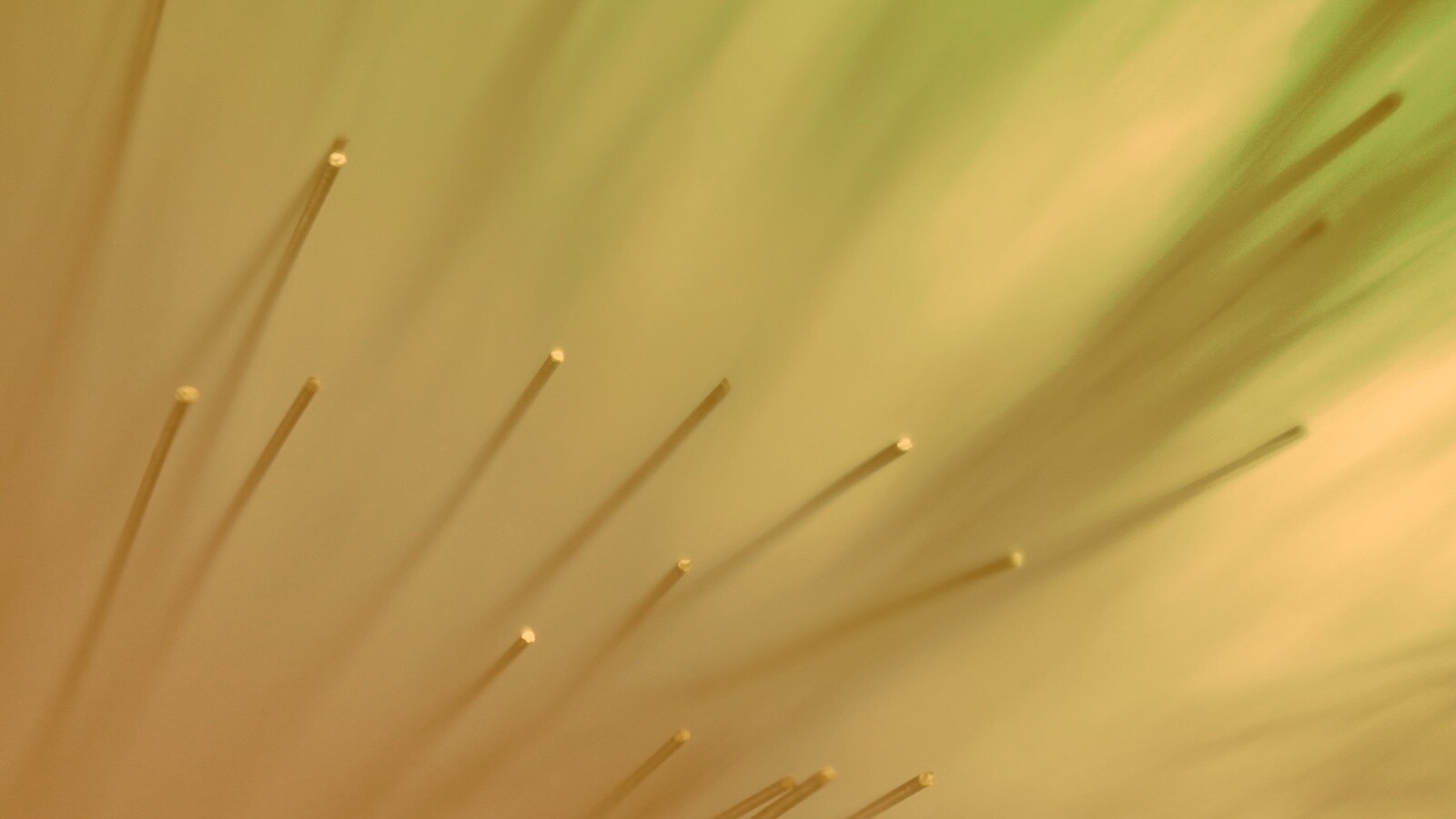 Световоды в рассеяном свете обои