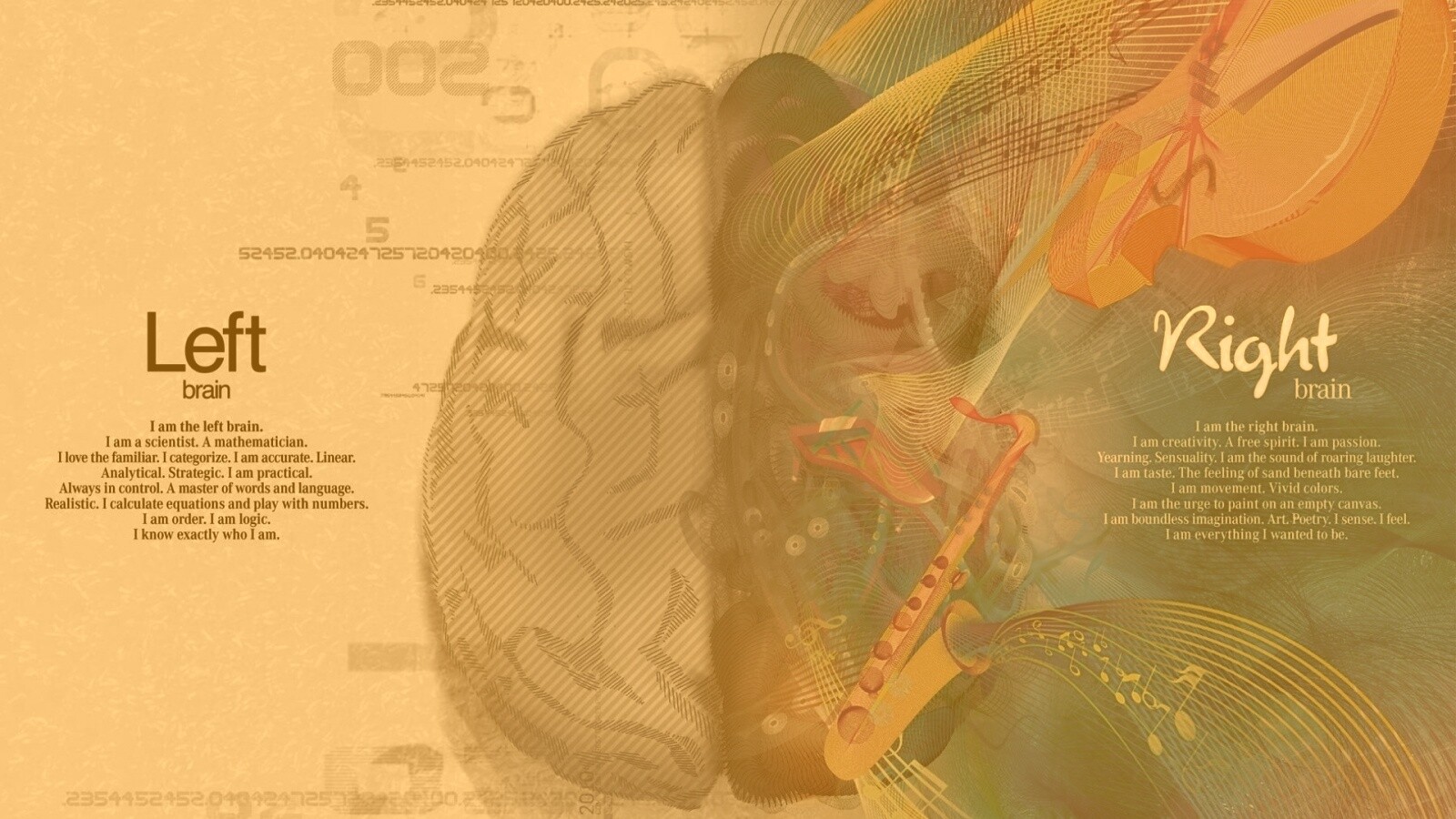 Левая и правая половина мозга обои
