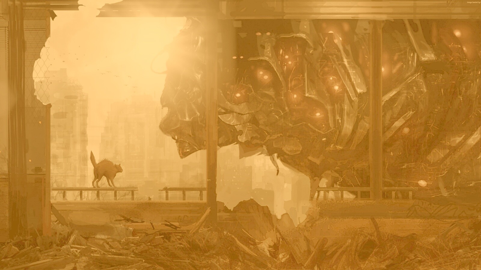 Кошкино удивление обои