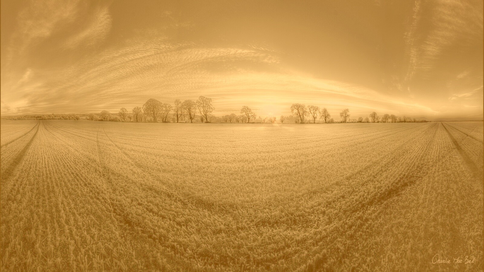 Поле широкоугольным объективом обои