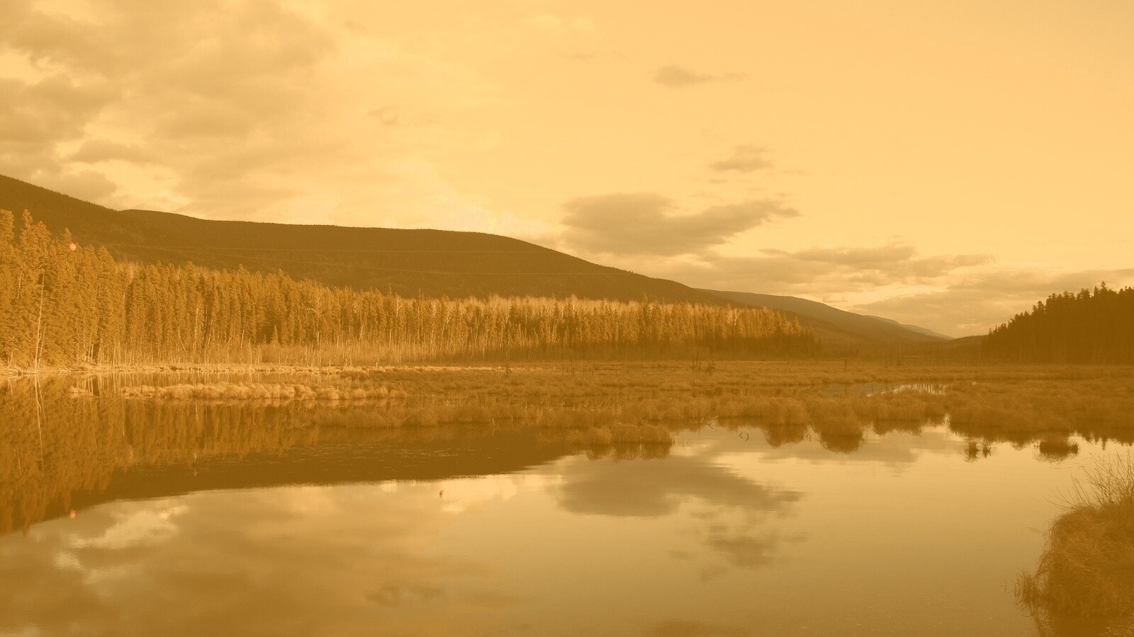 Осеннее озеро обои