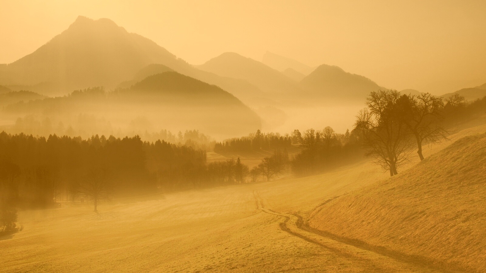 Дорога в туманную долину обои