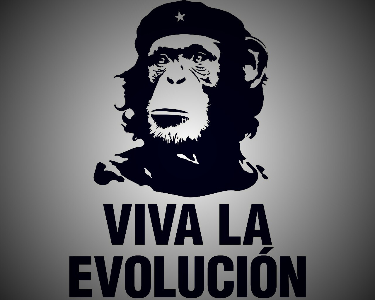 Viva la evolucion обои