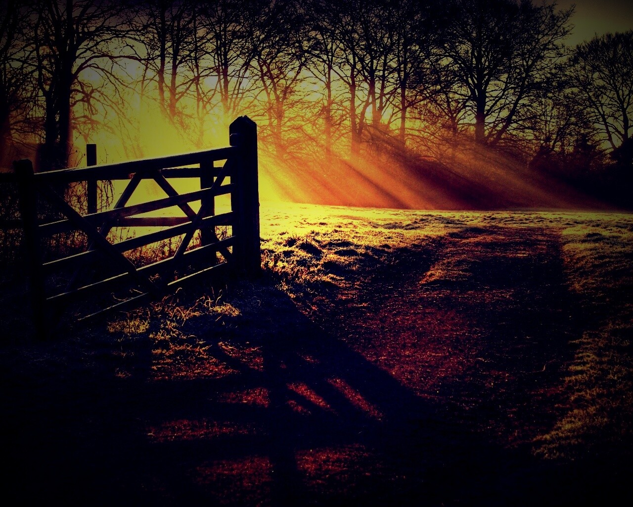 Открытые ворота обои