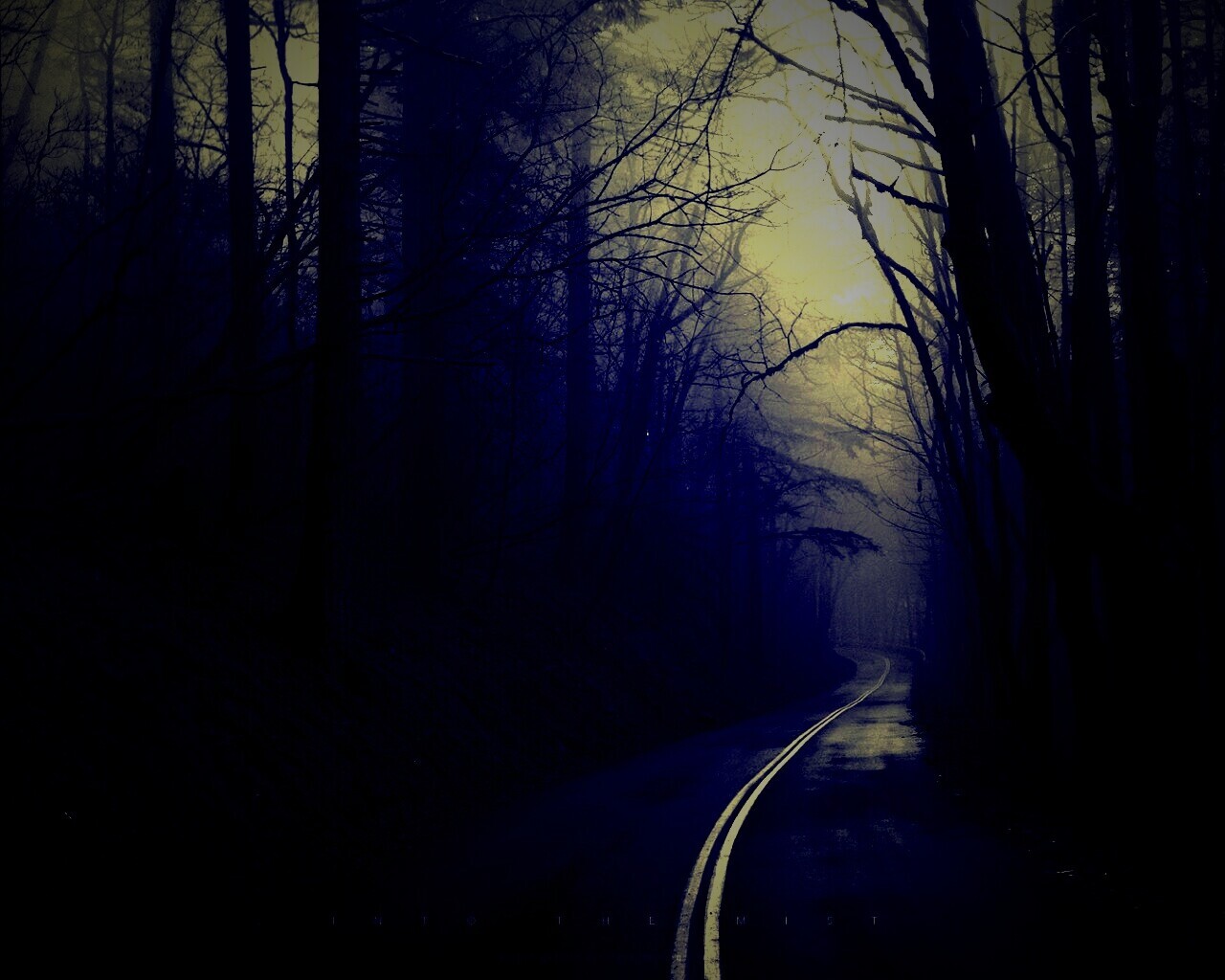 В туман обои