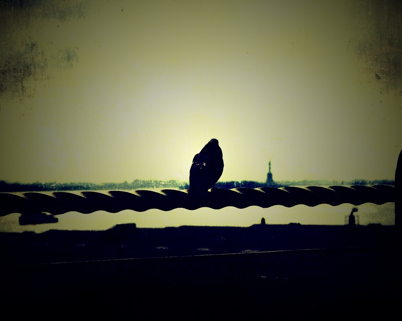 Голубь в Нью-Йоркских доках обои