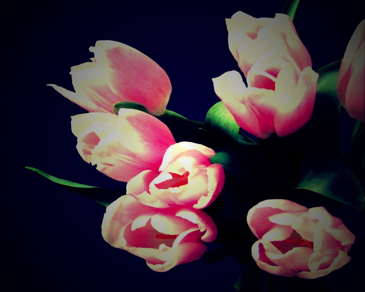 Розовый букет обои