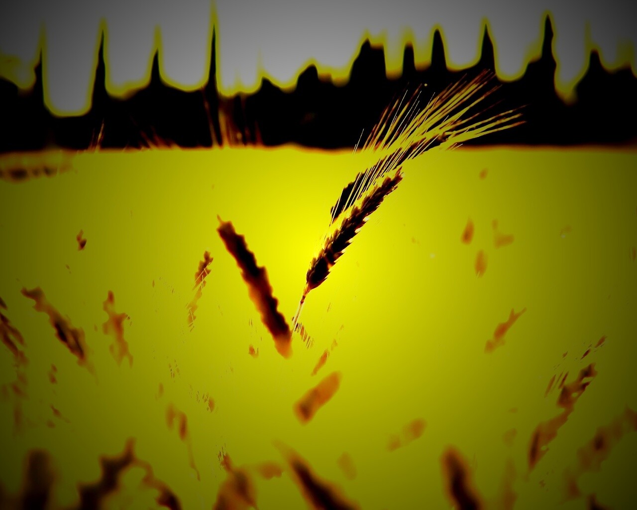 Пшеничное поле обои