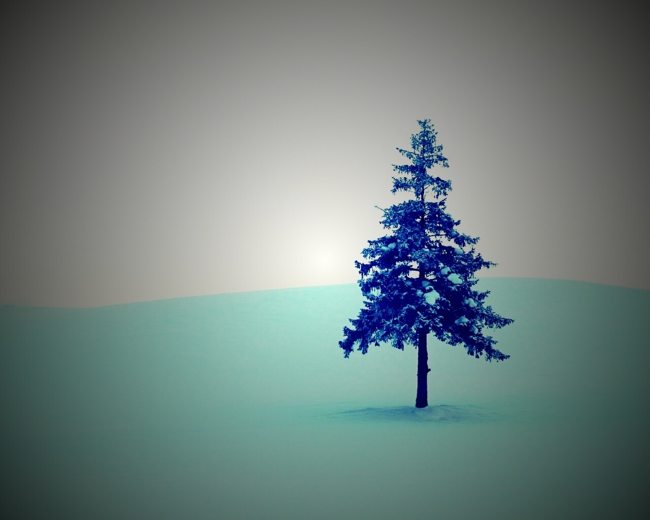 Одинокая ёлка обои