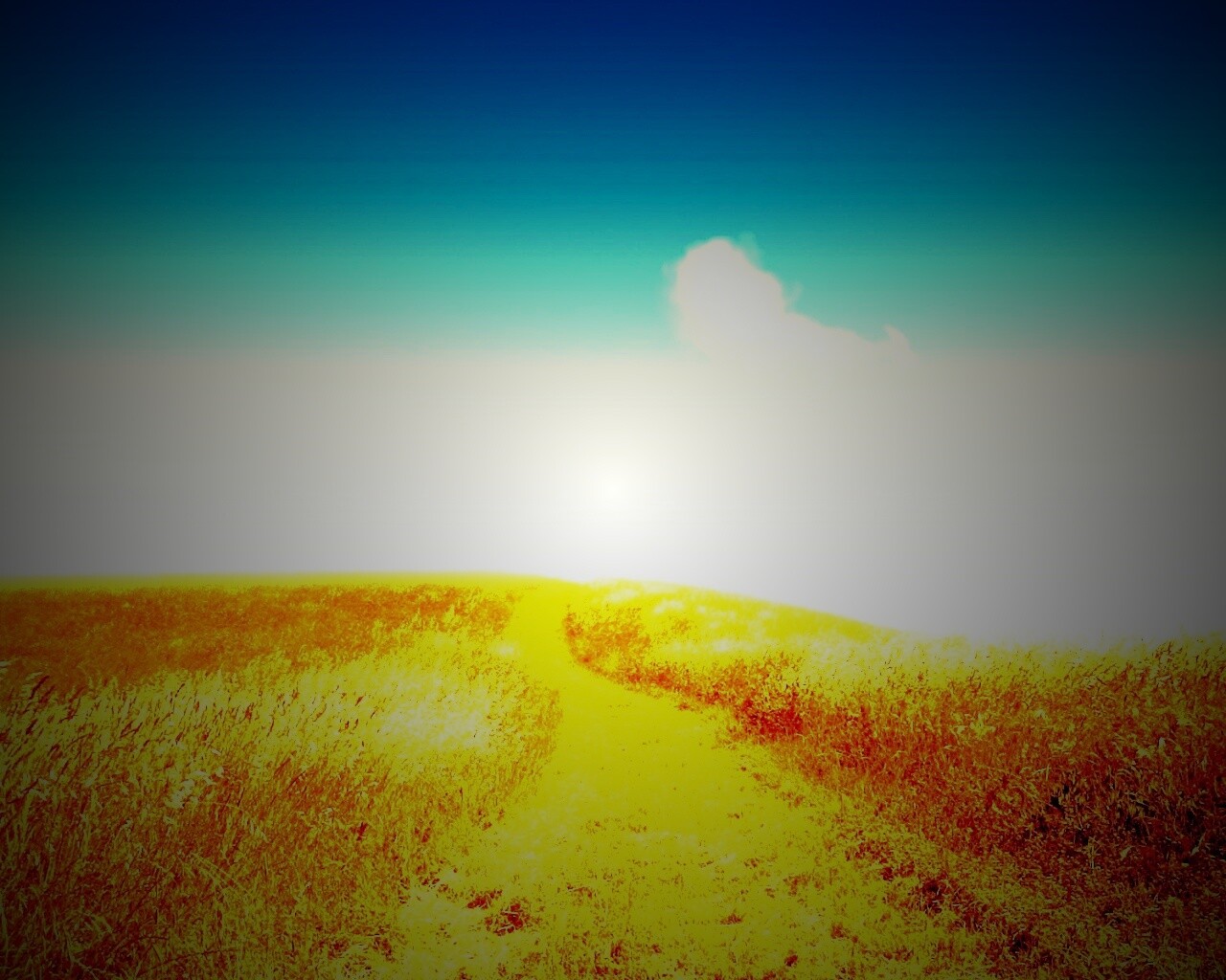 Золоте поле обои