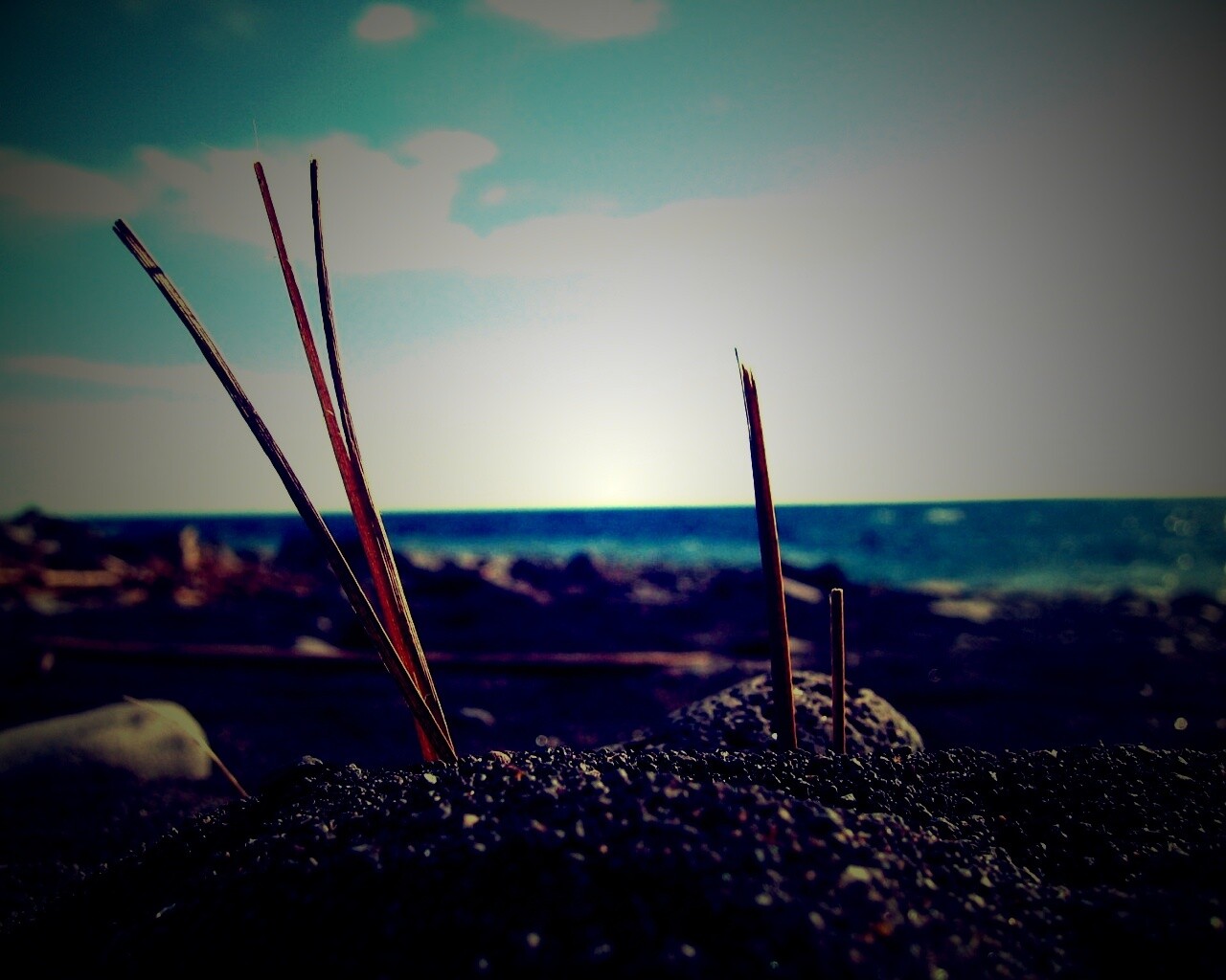 Солома на океанском берегу обои