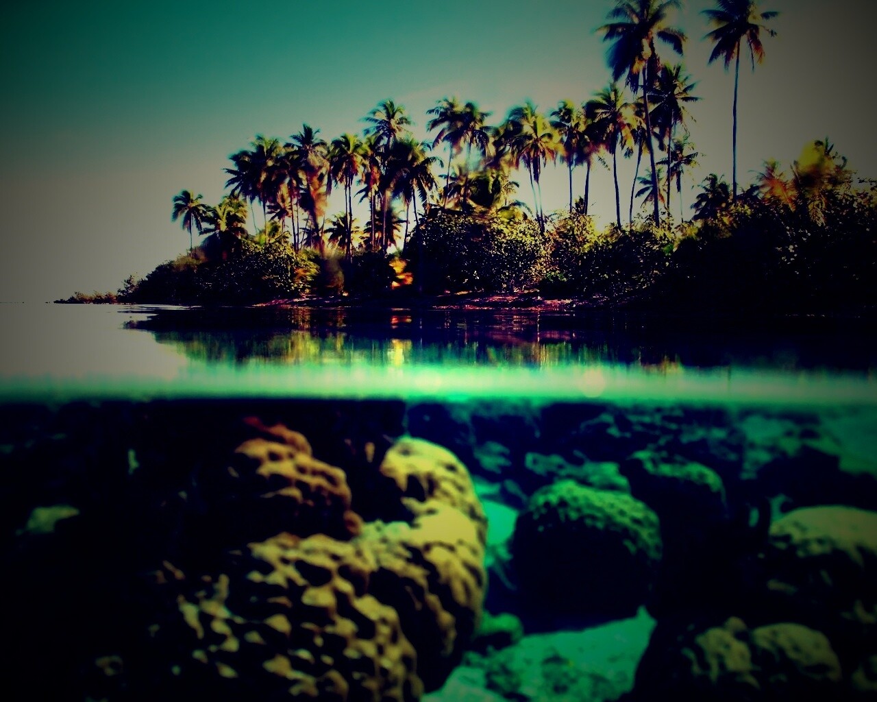 Из-под воды обои