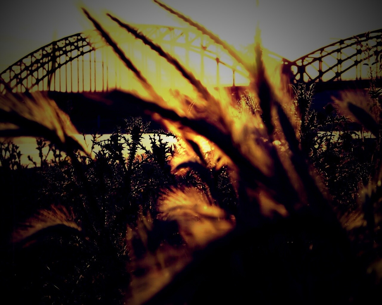 Железнодорожный мост обои