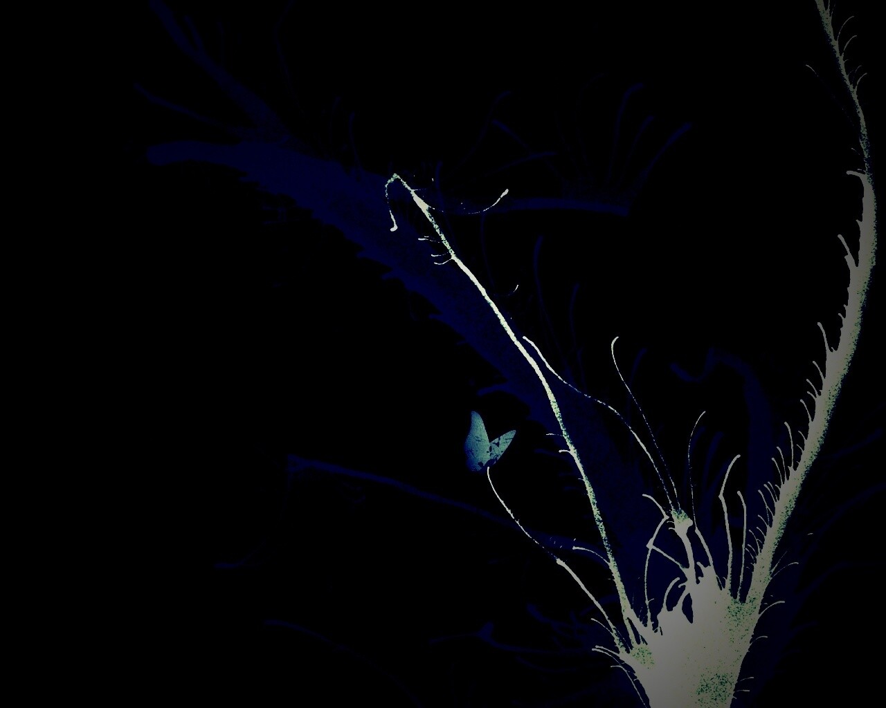 Абстракция из брызг обои