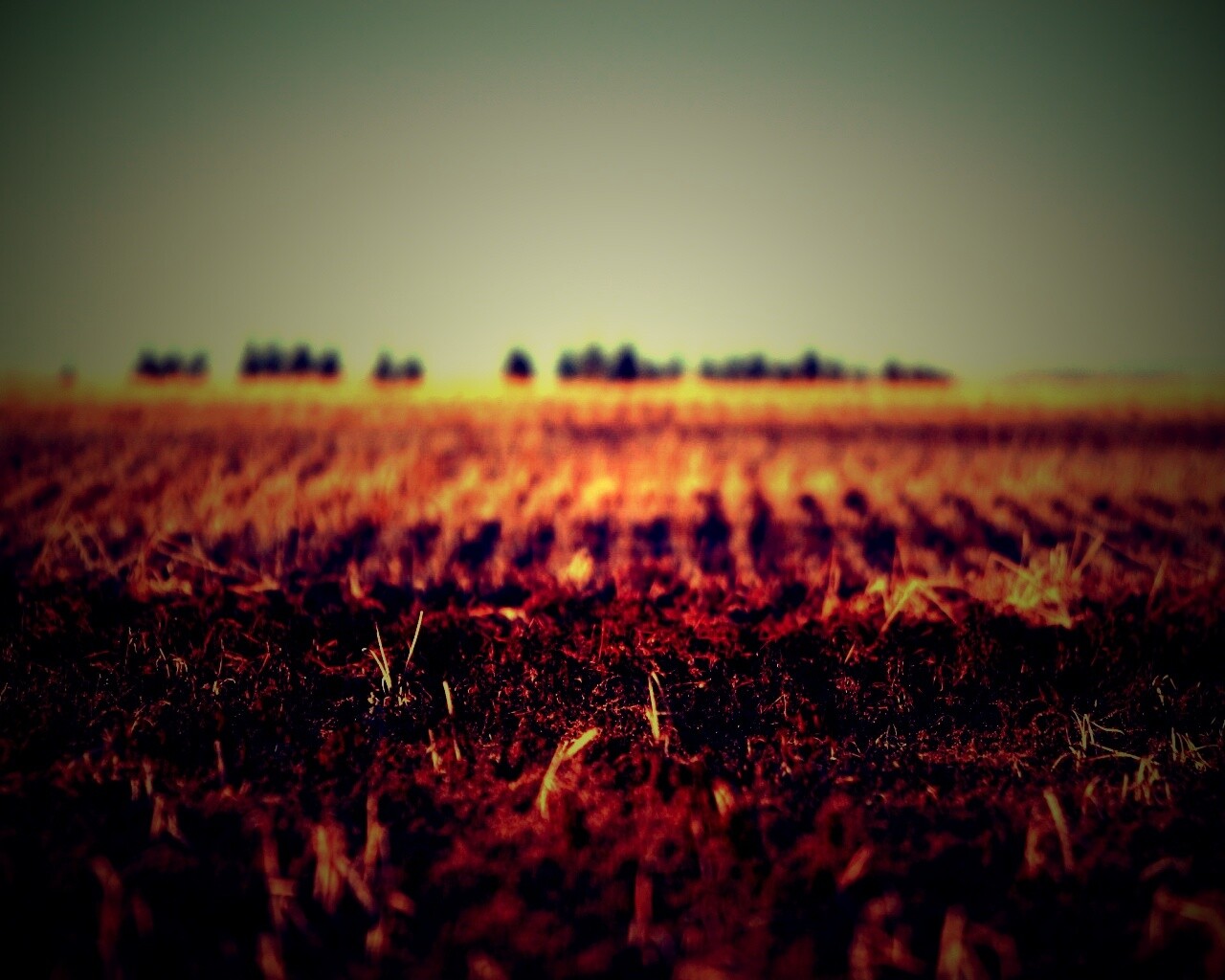 Поле перед вспашкой обои