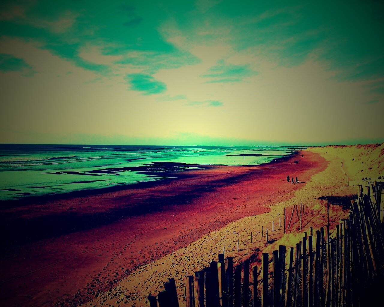 Обмелевший берег обои