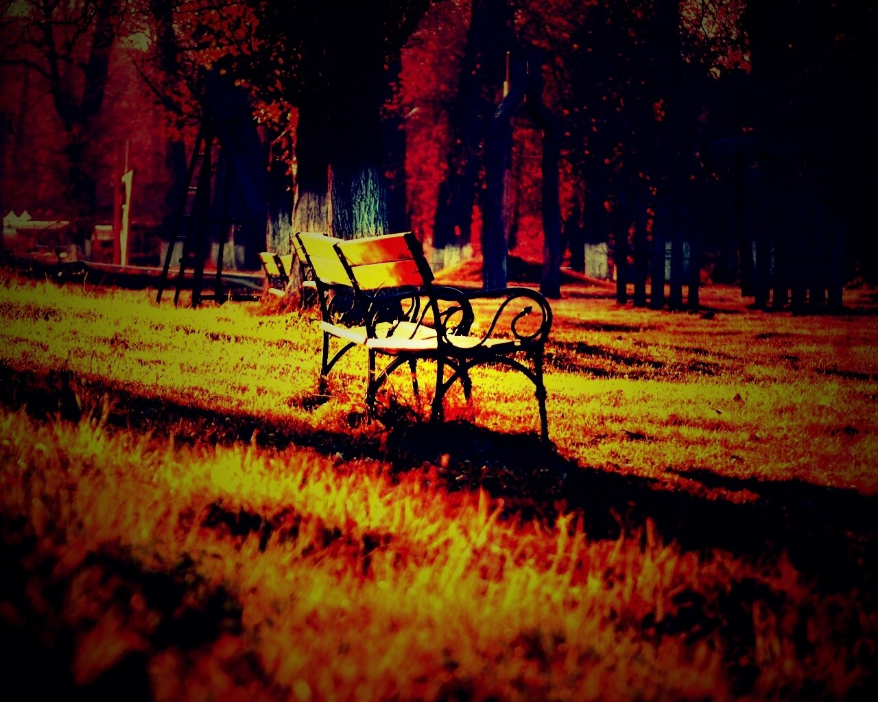 Скаймейка в осеннем парке обои