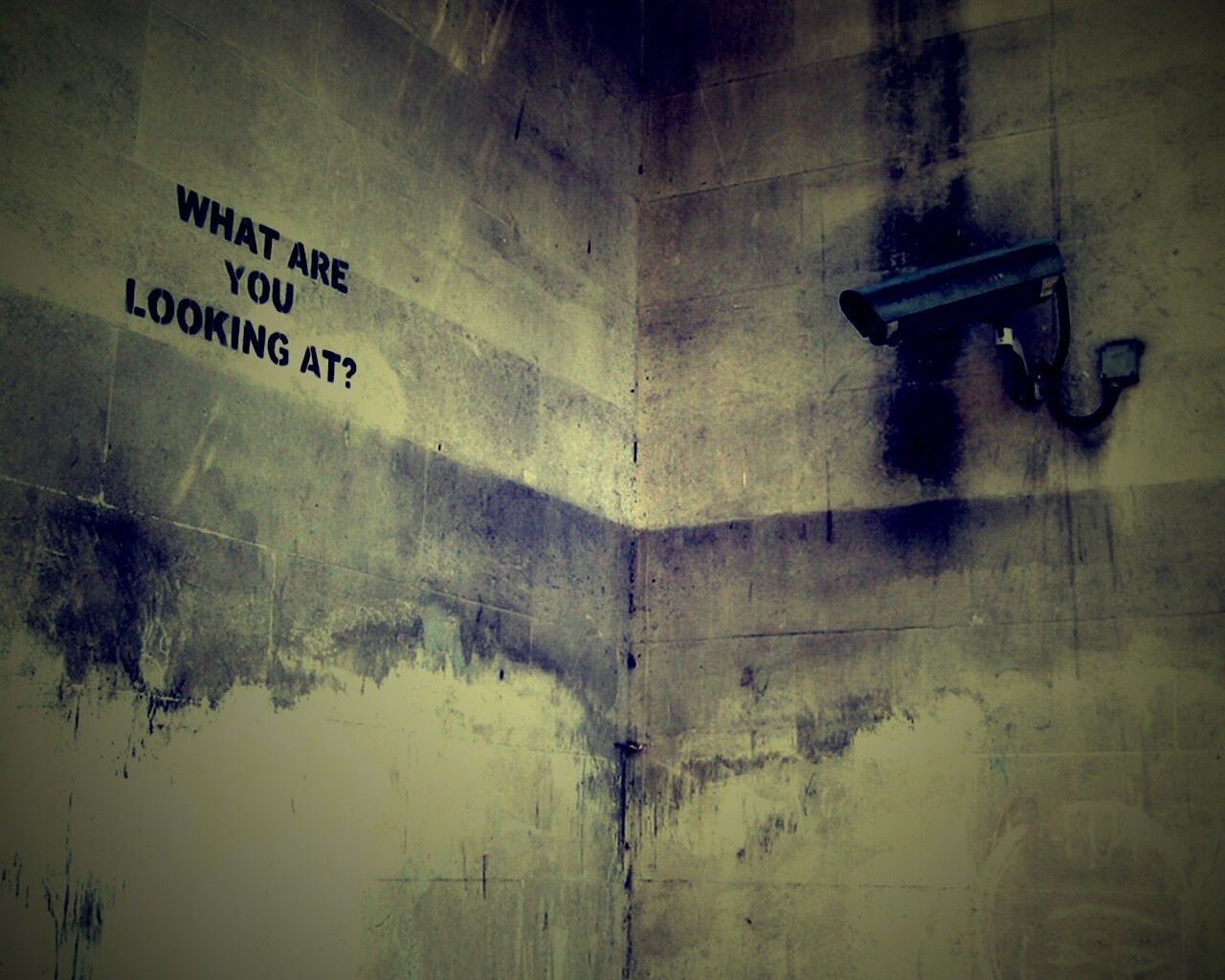 На что ты смотришь? обои