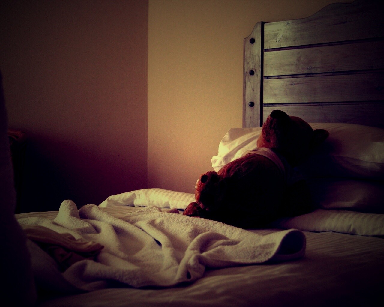 Медвежонок в постели обои