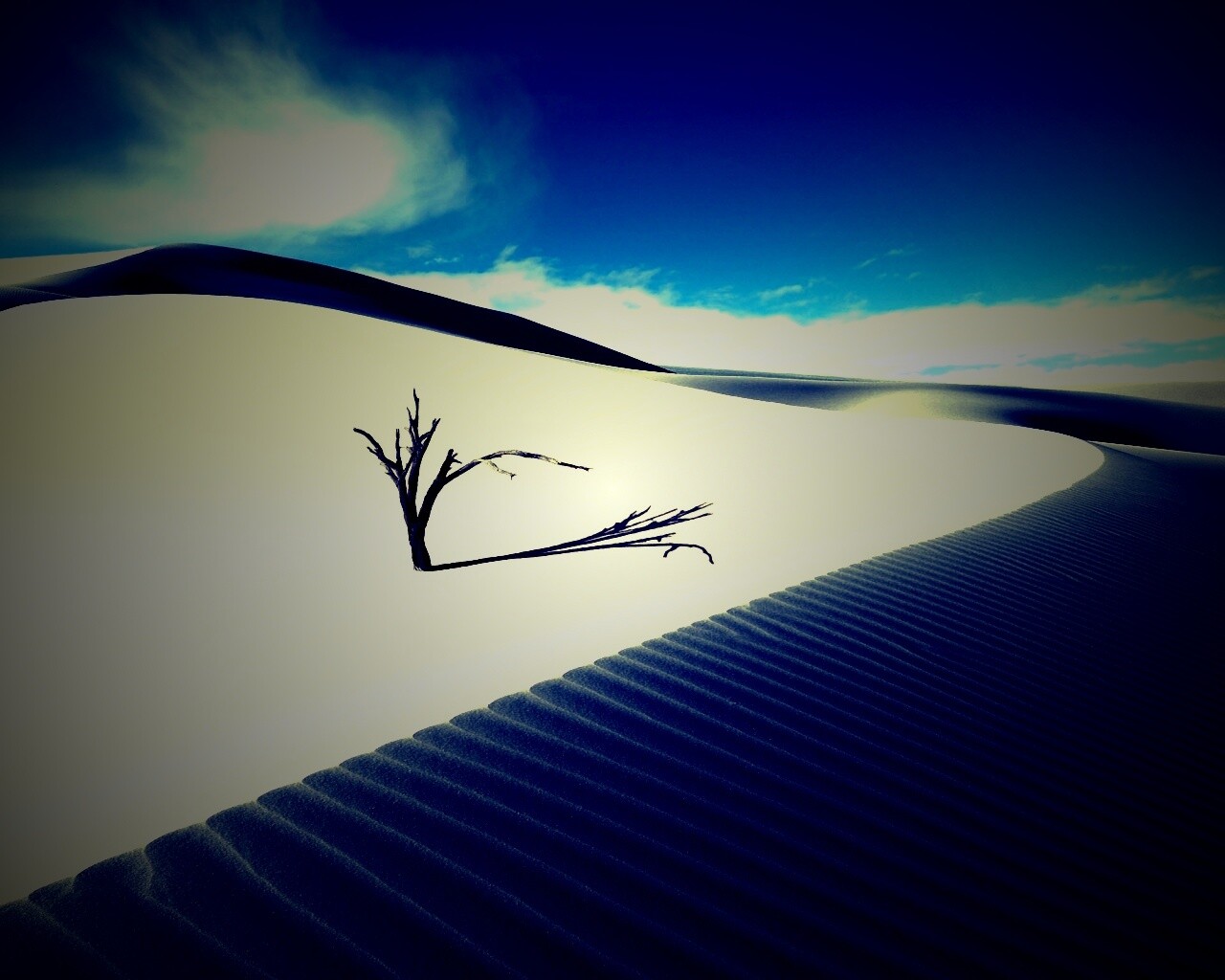 Сухостой в пустыне обои