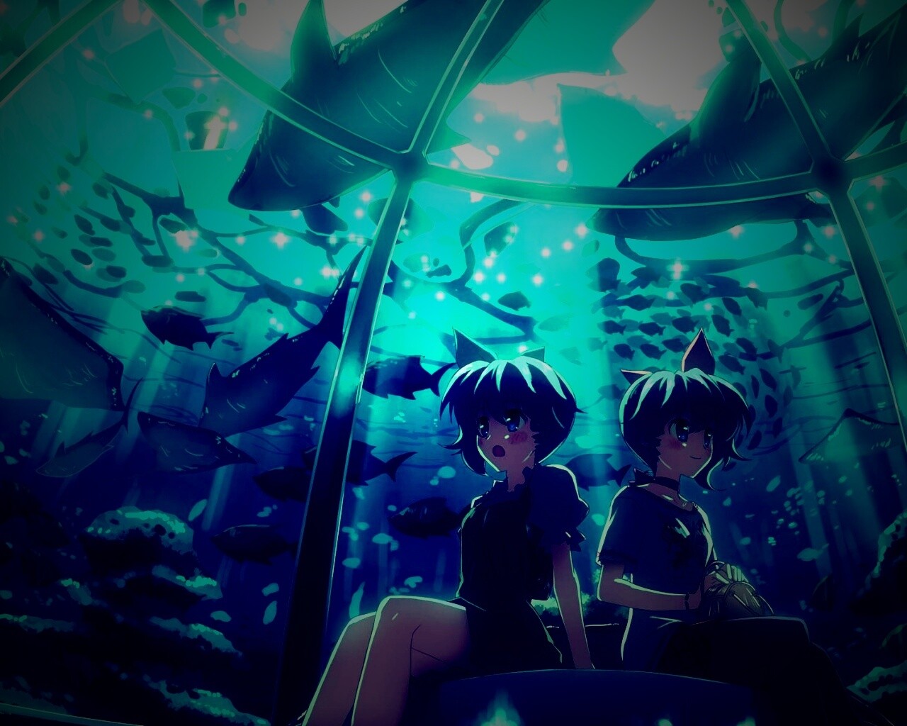 В океанариуме обои