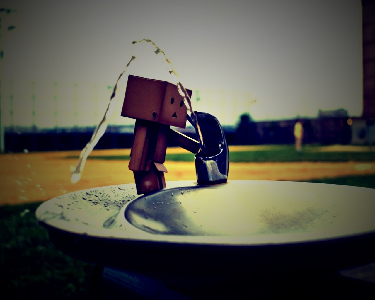 Дандо пьет в воду из фонтанчика обои