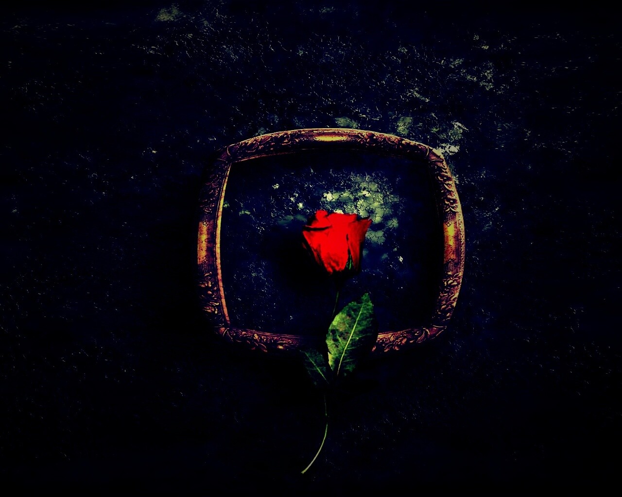 Роза на картинной раме обои