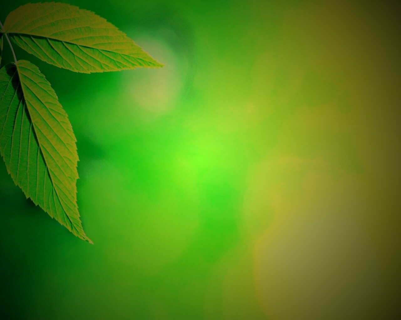 Два листа обои