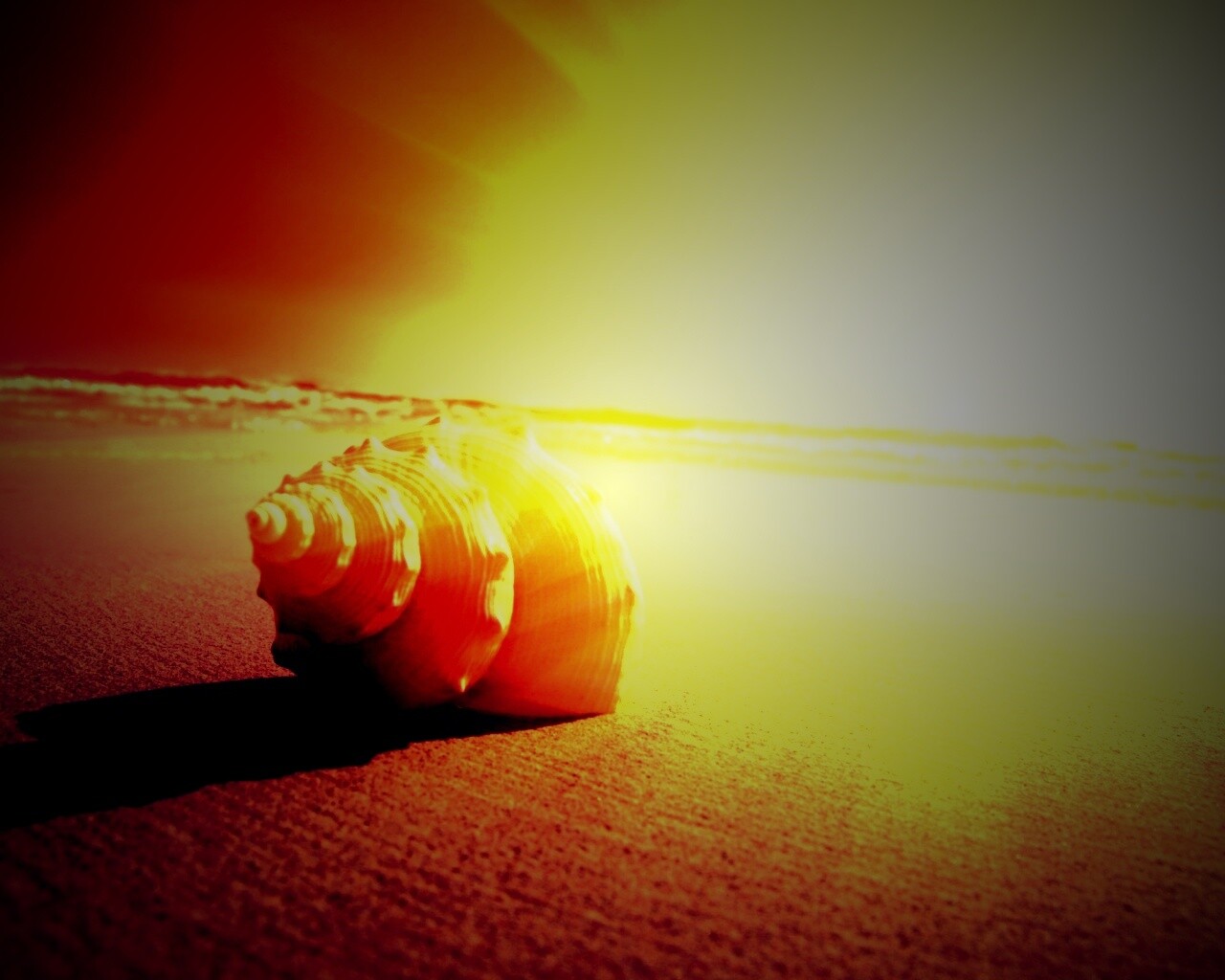 Золотистая ракушка обои