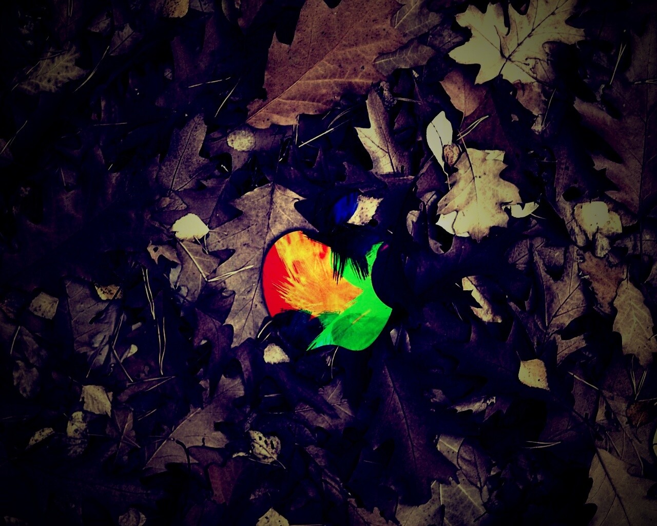 Эпл в сухой листве обои