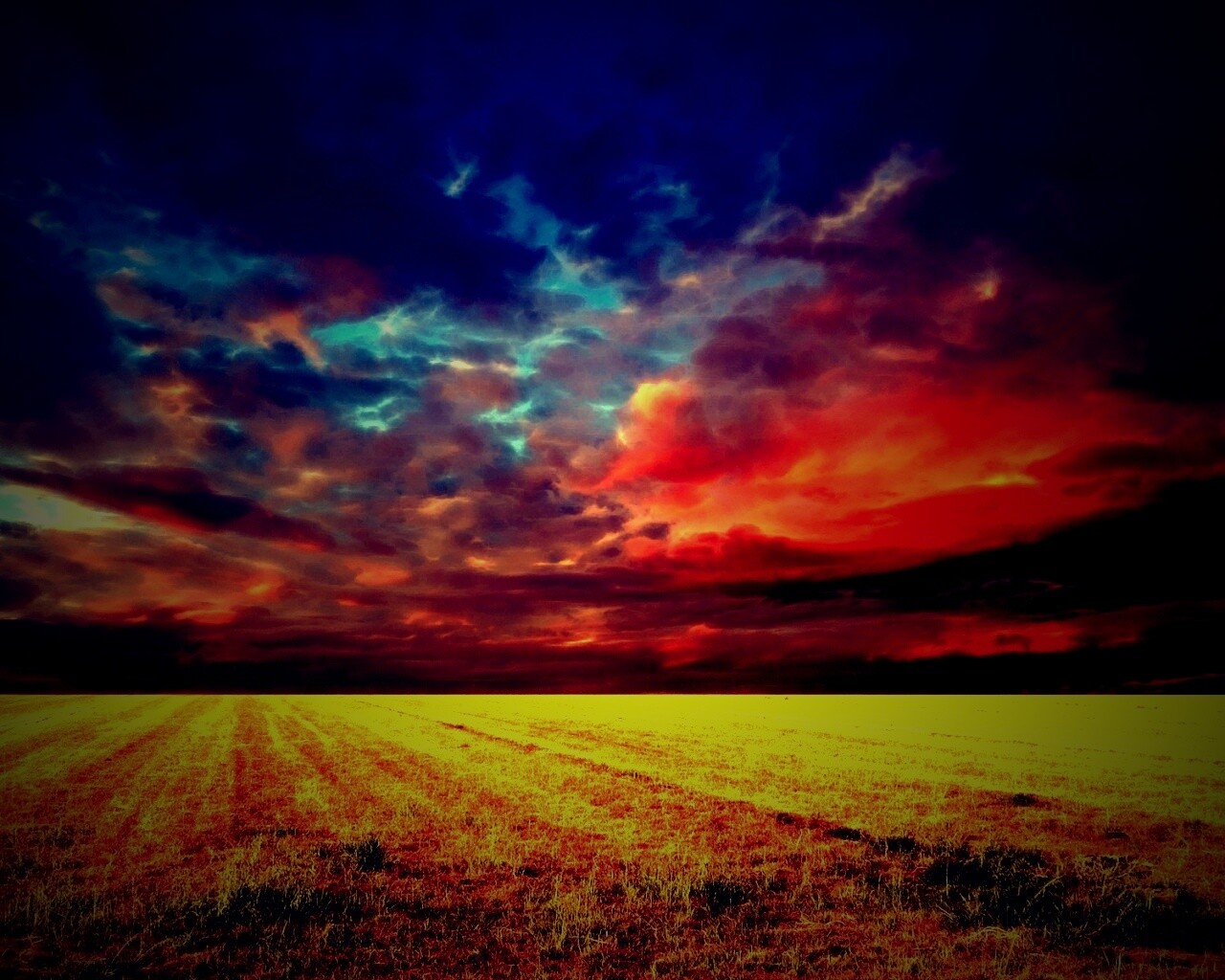 Тучи над желтым полем обои