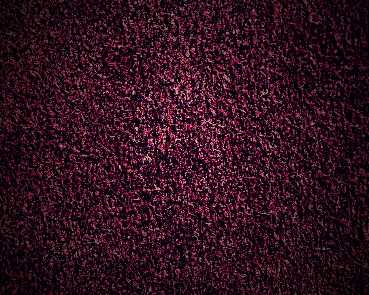 Бордовый ковролин обои