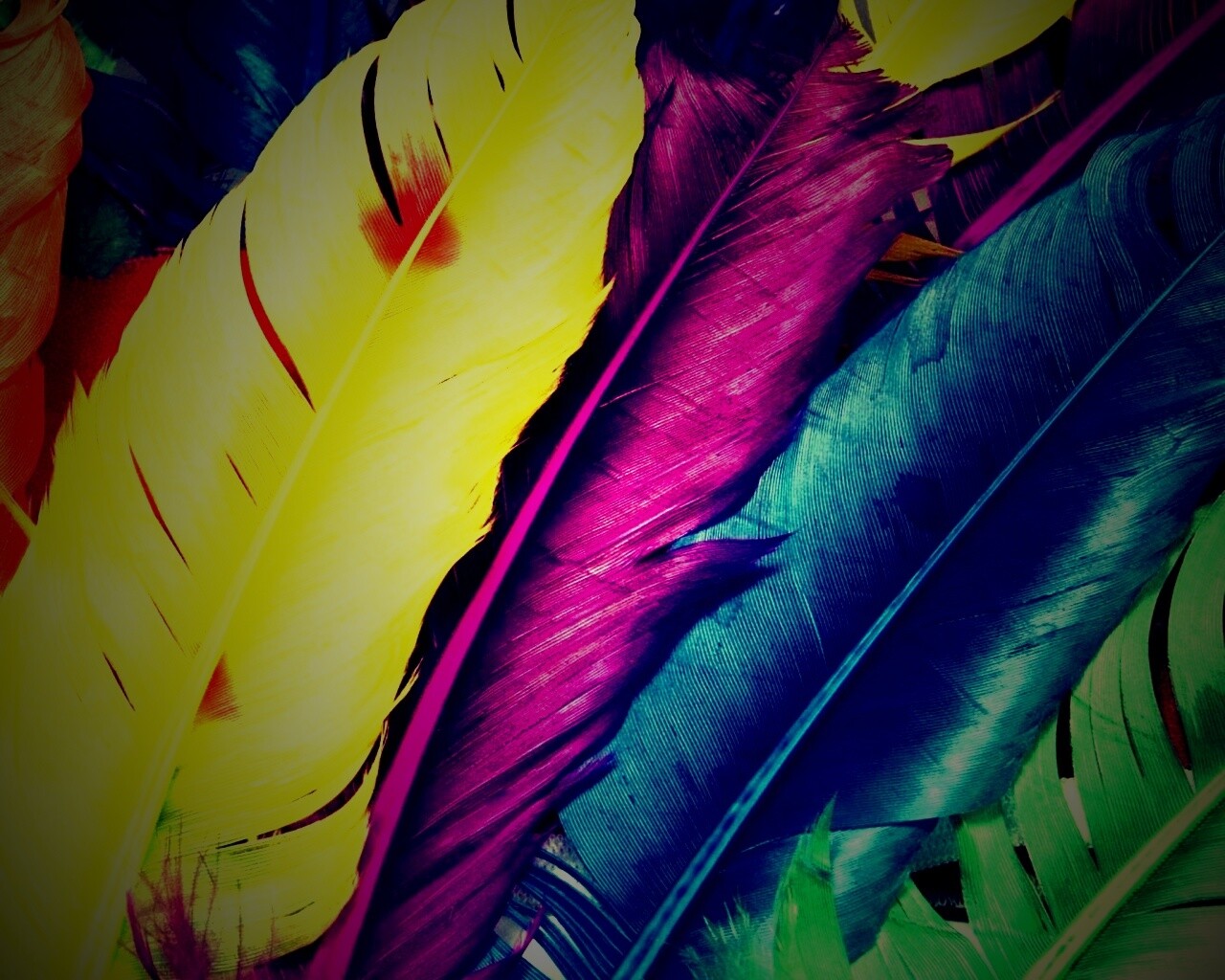 Разноцветные перья обои