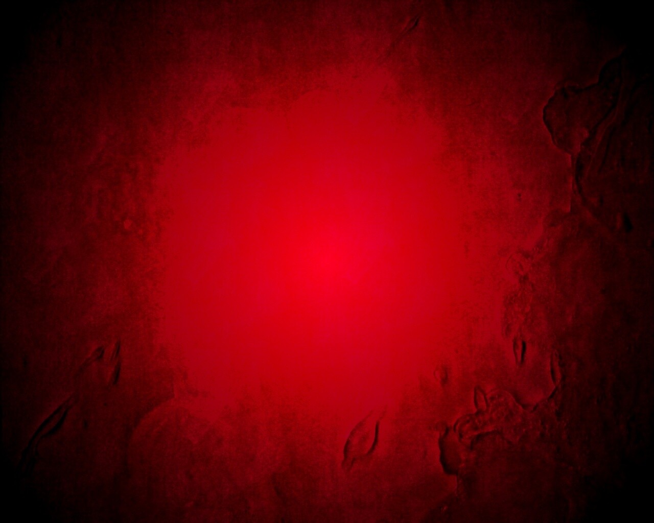 Красные пятна обои