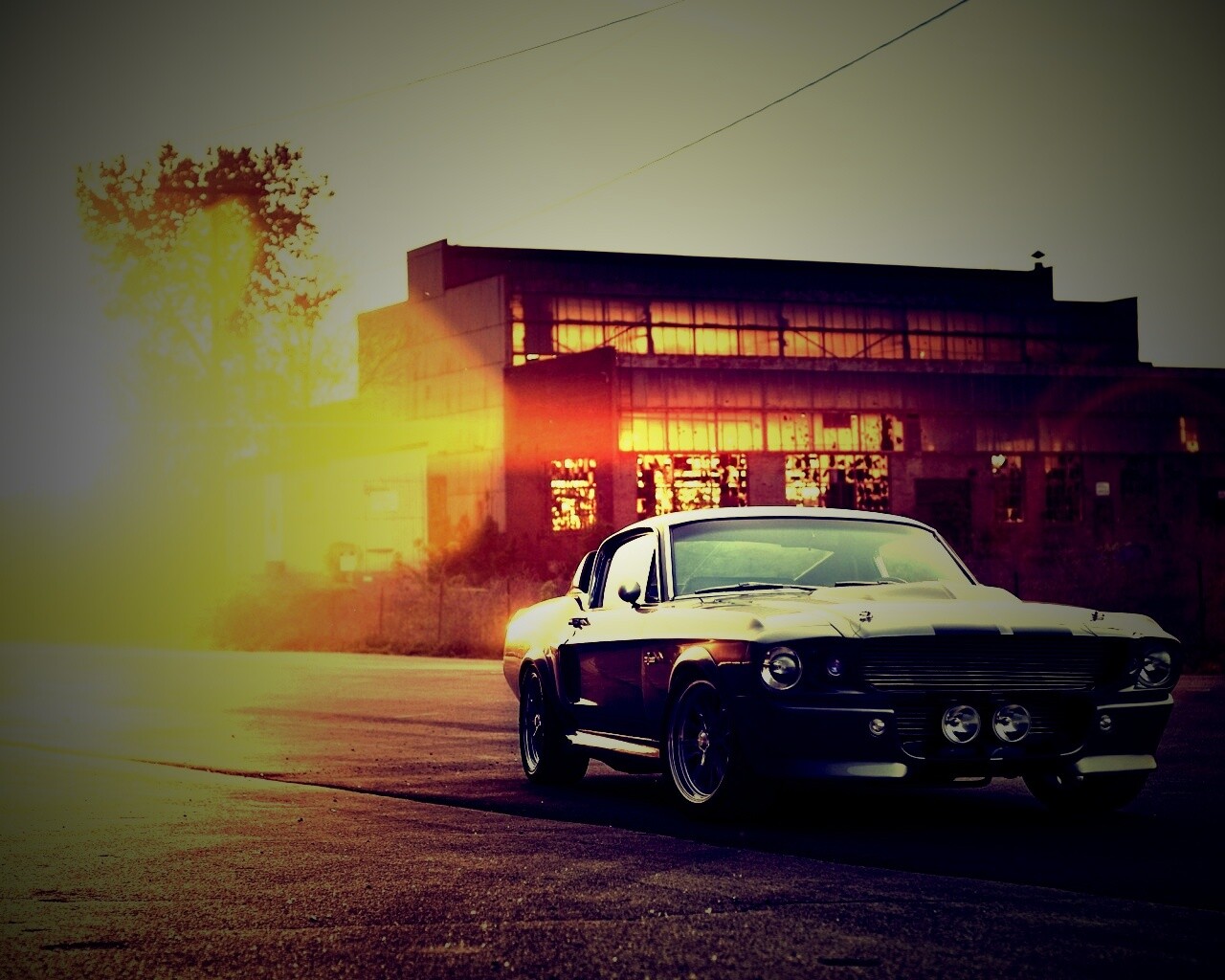 Элеанор обои